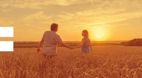 Two people holding hands and walking through a wheat field at sunset